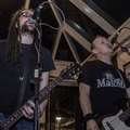 Click to enlarge GutterPunk - Professional Concert Photography